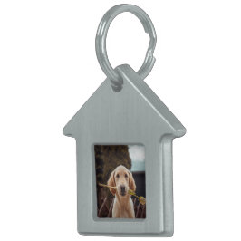 Placa Para Mascotas Foto personalizada personalizada 