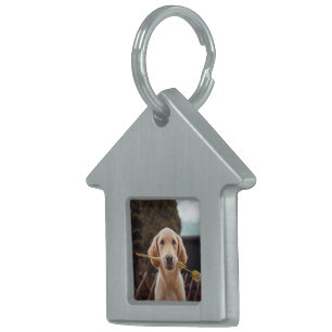 Placa Para Mascotas Foto personalizada personalizada