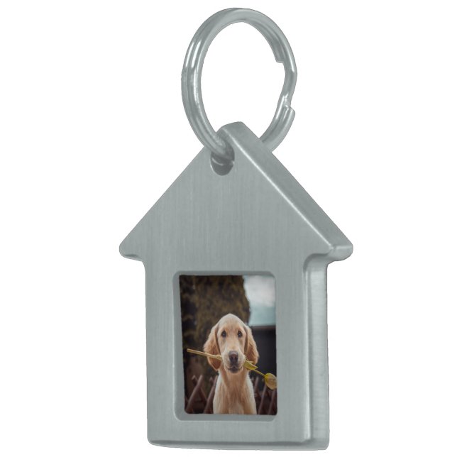 Placa Para Mascotas Foto personalizada personalizada  (Frente Derecha)