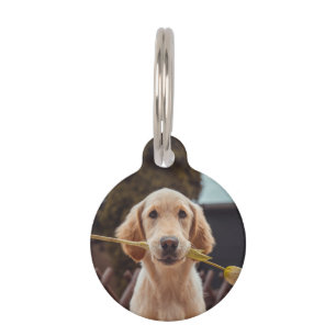 Placa Para Mascotas Foto y texto personalizados