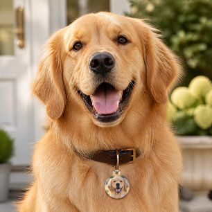 Placa Para Mascotas Foto y texto personalizados para perro