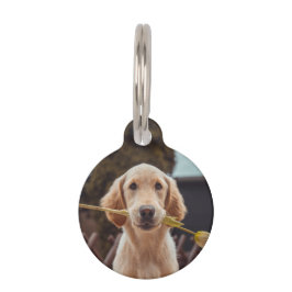 Placa Para Mascotas Foto y texto personalizados personalizados