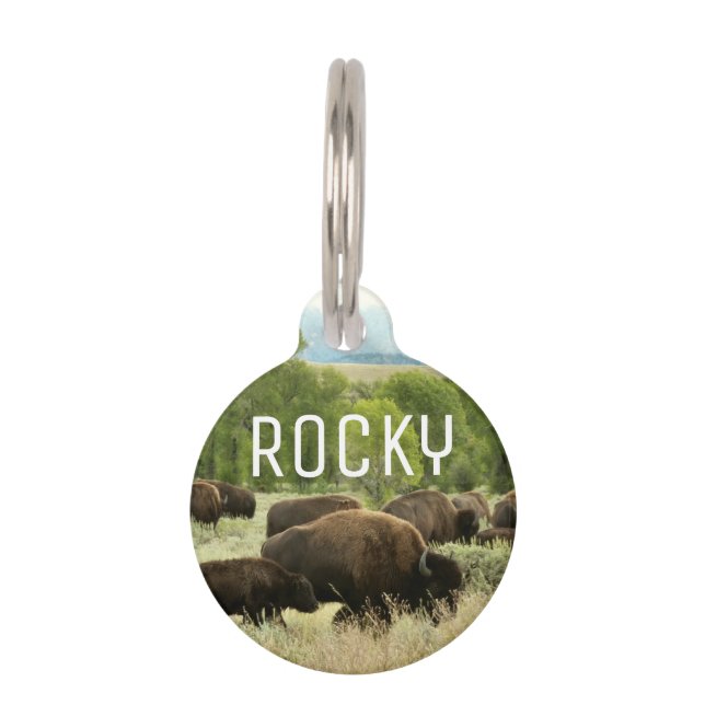 Placa Para Mascotas Fotografía de animales de la naturaleza de Wyoming (Anverso)
