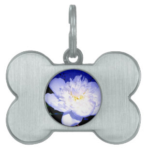 Placa Para Mascotas Fotografía de personas blancas y moradas