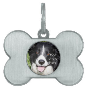 Placa Para Mascotas Fotografía de un perro feliz