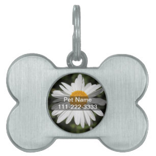 Placa Para Mascotas fotografía popular de flor, bonito de margarita bl