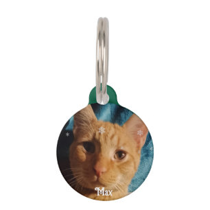 Placa Para Mascotas Fotos de tres gatos, Navidad personalizada