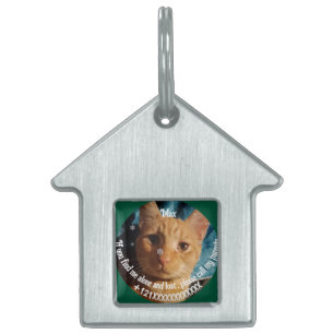 Placa Para Mascotas Fotos de tres gatos, Navidad personalizada