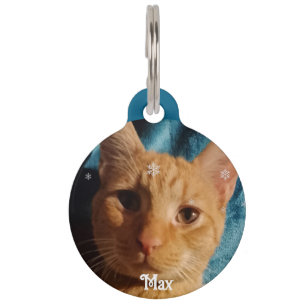 Placa Para Mascotas Fotos de tres gatos, Navidad personalizada