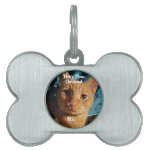 Placa Para Mascotas Fotos de tres gatos, Navidad personalizada