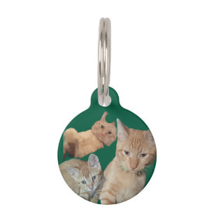 Placa Para Mascotas Fotos de tres gatos, personalizadas