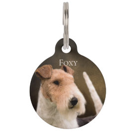 Placa Para Mascotas Fox terrier del alambre