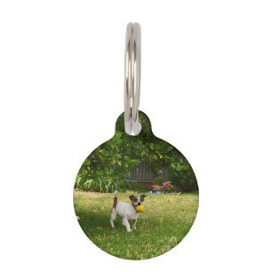 Placa Para Mascotas Fox Terrier Días Felices, 