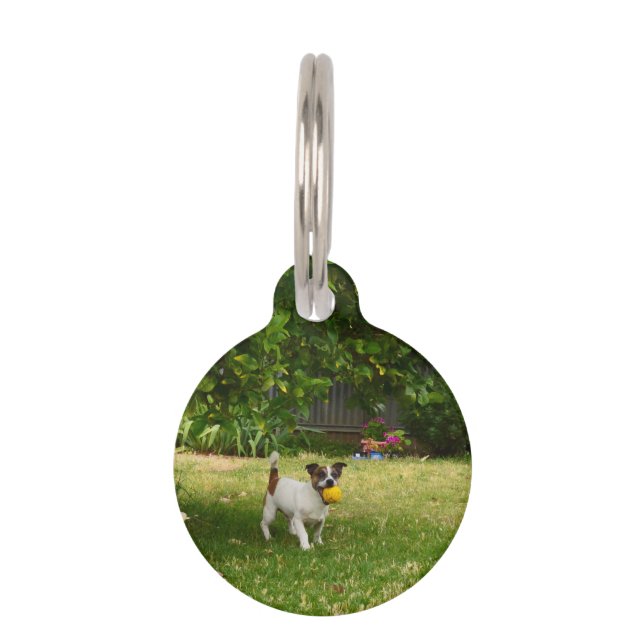 Placa Para Mascotas Fox Terrier Días Felices,  (Anverso)