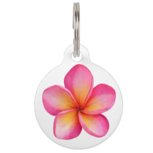 Placa Para Mascotas Frangipani Pet Tag