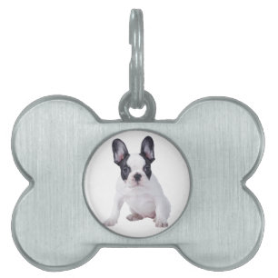 Placa Para Mascotas Frenchie-cachorro de bulldog francés