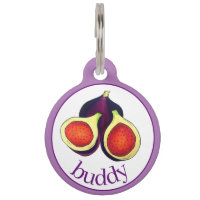 Fruta de la higuera de la higuera púrpura, de cort