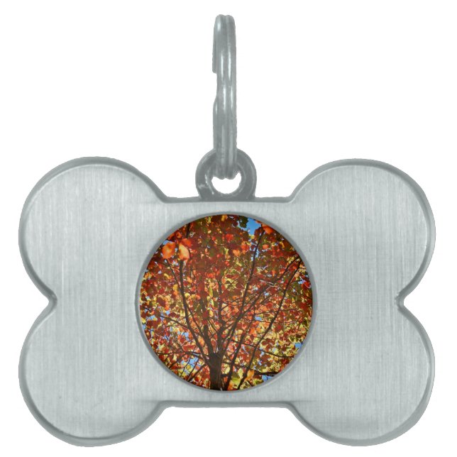 Placa Para Mascotas Fuegos Artificiales de Hojas de Otoño (Frente)