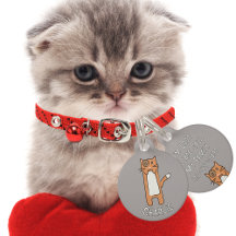 Funny Kawaii, Personalizado de gato blanco cubano