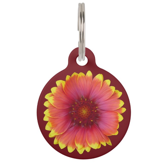 Placa Para Mascotas Gaillardia 1 (Anverso)