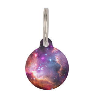 Placa Para Mascotas Galaxia Angélica Caída