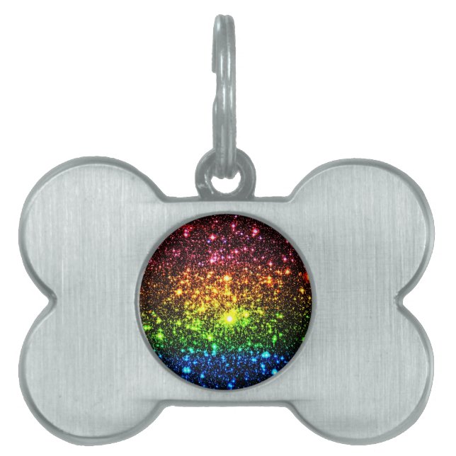 Placa Para Mascotas Galaxia Arcoíris (Frente)