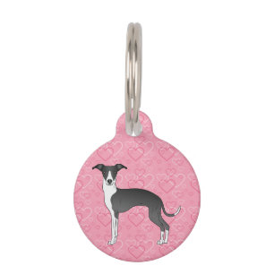 Placa Para Mascotas Galgo Italiano Blanco Y Negro Sobre Corazones Rosa