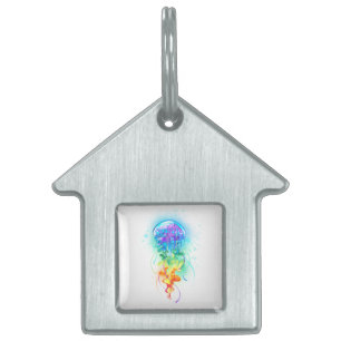 Placa Para Mascotas Gallito arcoiris