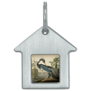 Placa Para Mascotas Garzas de Louisiana de Audubon Pájaros América Art