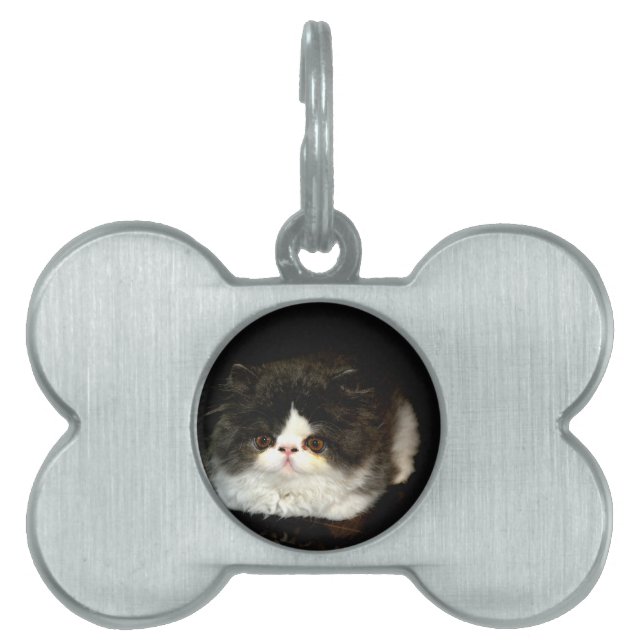 Placa Para Mascotas Gatito blanco y negro (Frente)