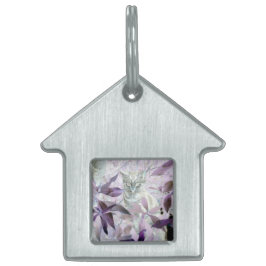 Placa Para Mascotas Gatito morado en los arbustos, Kitty