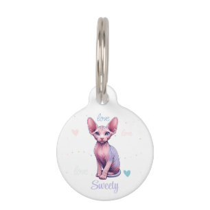 Placa Para Mascotas Gatito Sphynx Lindo Nombre Personalizado Gato Past