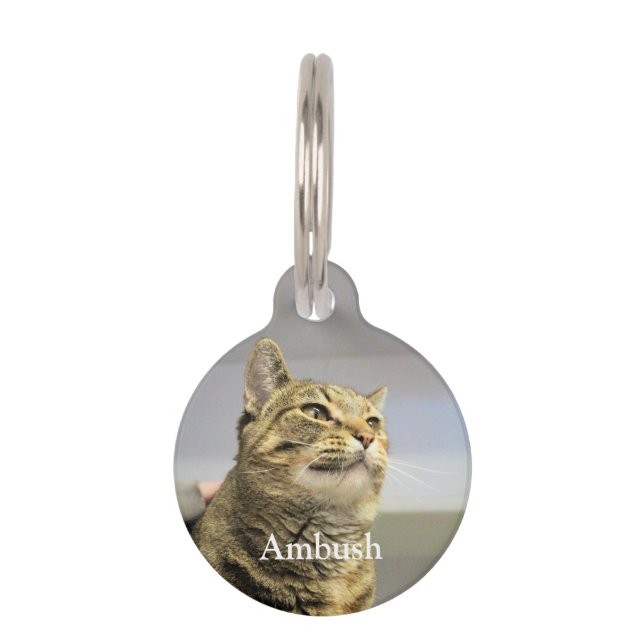 Placa Para Mascotas Gato (Anverso)