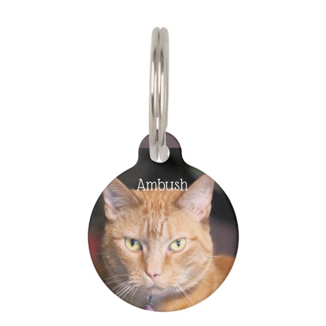 Placa Para Mascotas Gato       (Anverso)