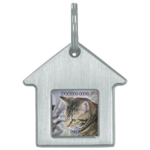 Placa Para Mascotas Gato