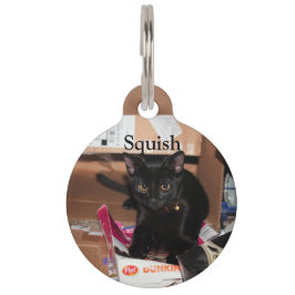Placa Para Mascotas Gato