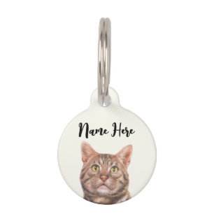 Placa Para Mascotas Gato American Shorthair amarillo lima