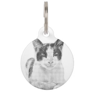 Placa Para Mascotas Gato Calico Minimal Trama de Medios Tonos