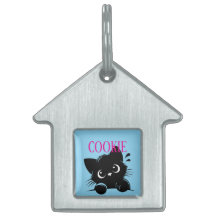 Gato Curioso Personalizado 