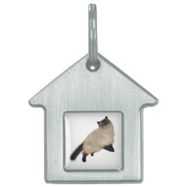 Placa Para Mascotas Gato de pelo largo de Siamese