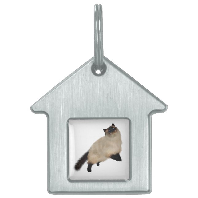 Placa Para Mascotas Gato de pelo largo de Siamese (Frente)