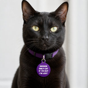 Placa Para Mascotas Gato Doméstico Personalizado Si Estoy Fuera Estoy
