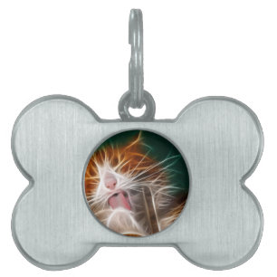 Placa Para Mascotas gato gatito gatitos lindo mascota ronroneo miau