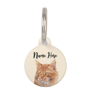 Placa Para Mascotas Gato naranja beige callejero