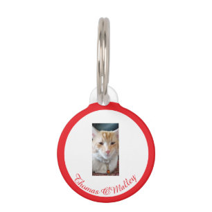 Placa Para Mascotas Gato Naranja , Foto Nombre Personalizado, Texto Di
