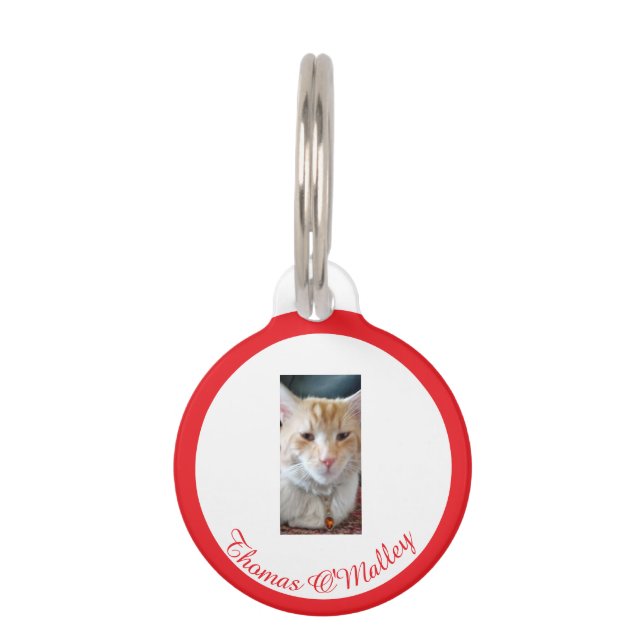 Placa Para Mascotas Gato Naranja , Foto Nombre Personalizado, Texto Di (Anverso)