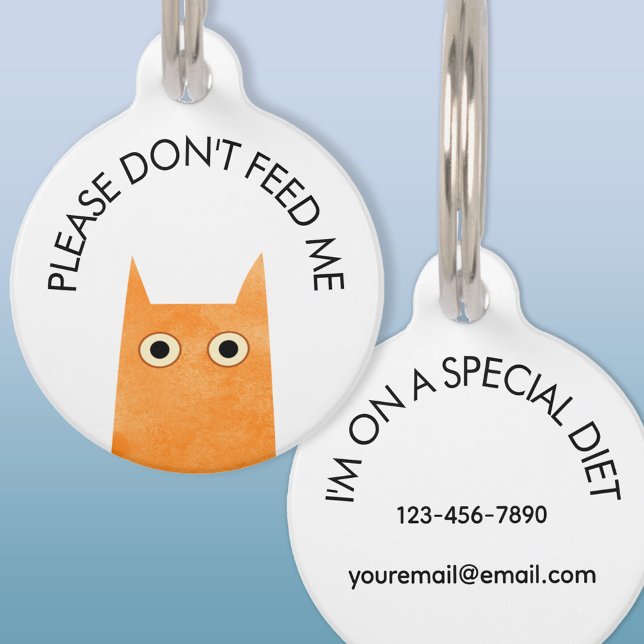 Placa Para Mascotas Gato naranja no me alimenta médico (Orange Cat Don't Feed Me special diet medical pet tag)