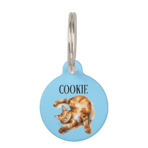Placa Para Mascotas Gato Naranja Personalizado 