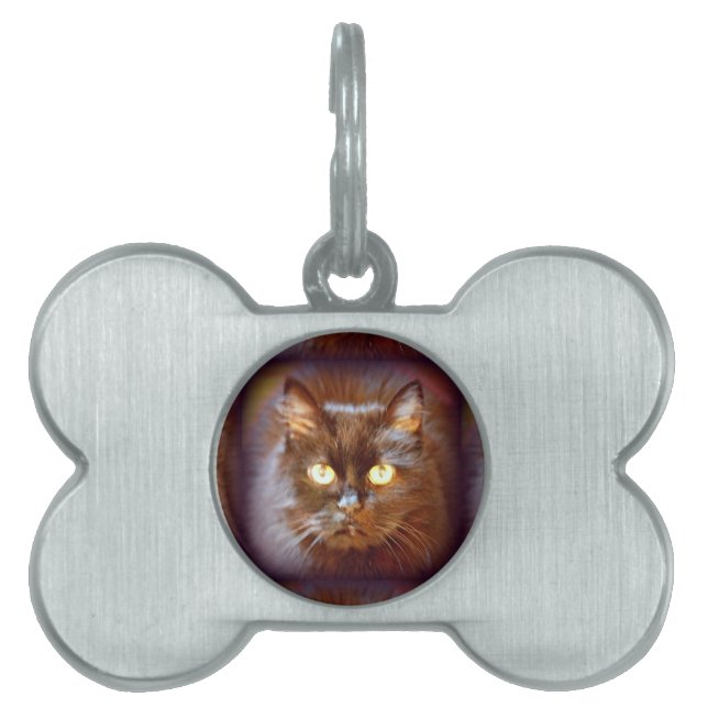 Placa Para Mascotas gato negro (Frente)