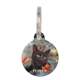 Placa Para Mascotas Gato negro,